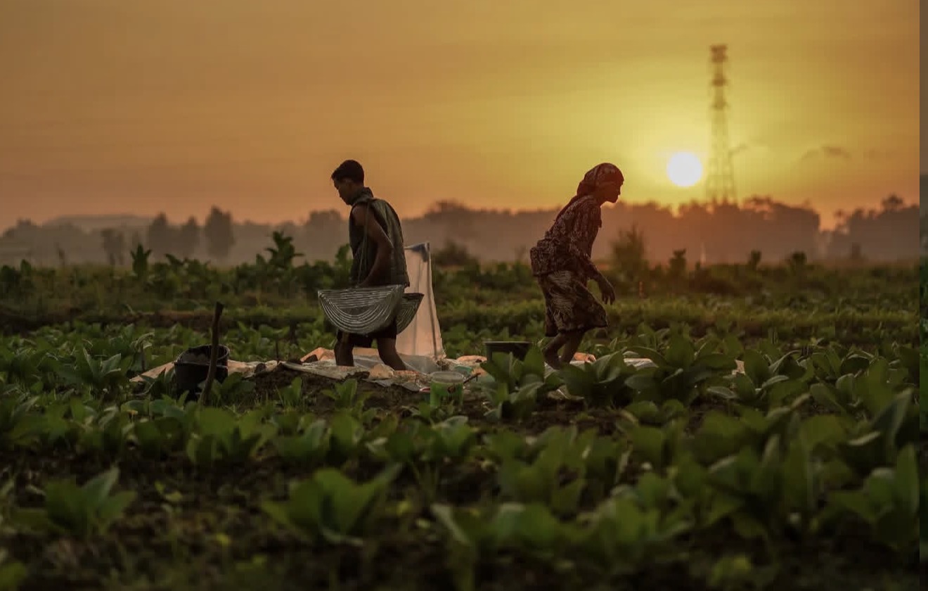 Menjaga Denyut Nadi Ekonomi Madura
